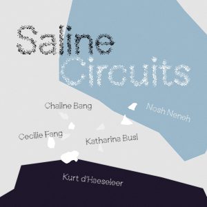 Saline Circuits Smallcopyright Sankrit Kulmanochawongl