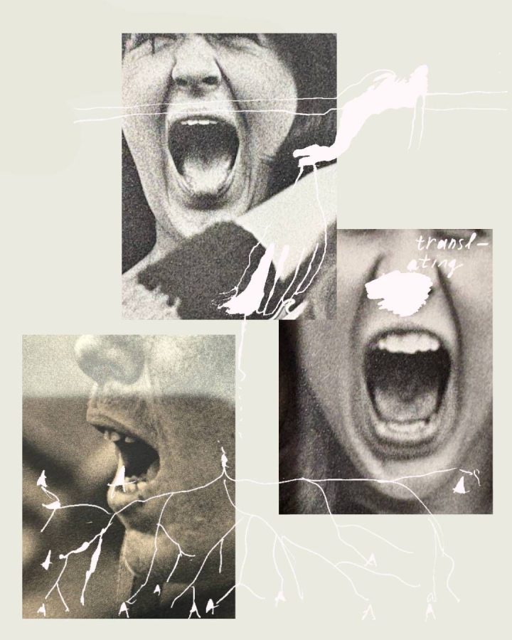 F0cac2fe d1ca 4cb8 9b5e 07aea0947341