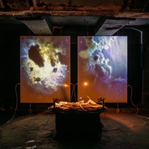 Berkveldt Necrosonic Landscapes Jacqueline Fuijkschot