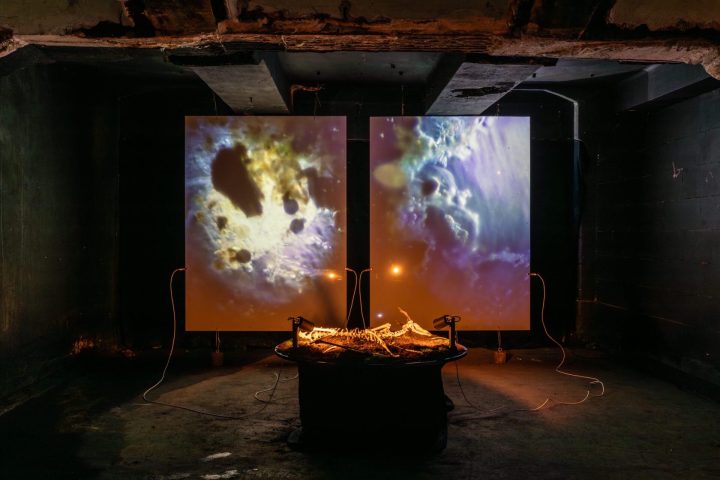 Berkveldt Necrosonic Landscapes Jacqueline Fuijkschot